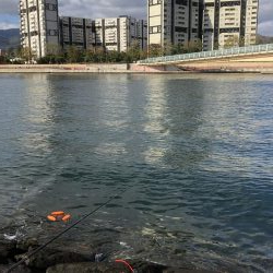 フカセ釣りプラクティス3