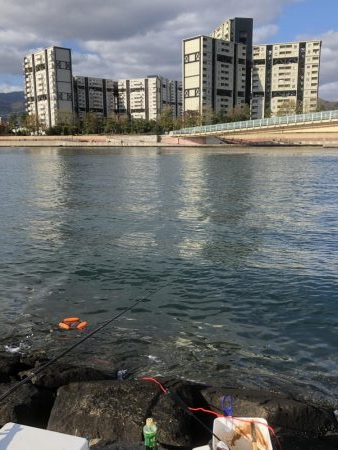 フカセ釣りプラクティス3