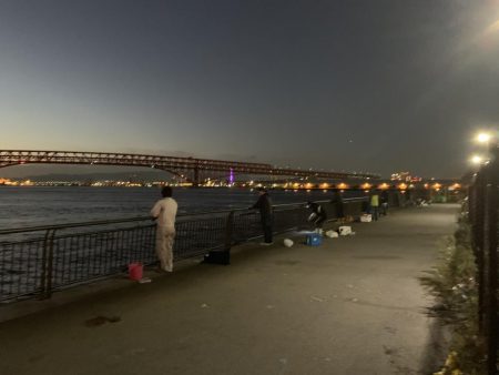 好調、湾奥タチウオ