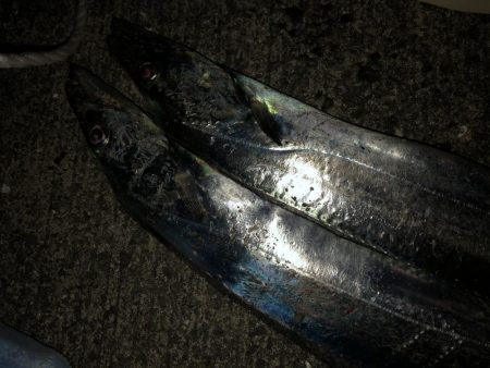 ワインド後アジング