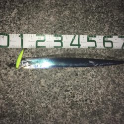 足元に現れた！