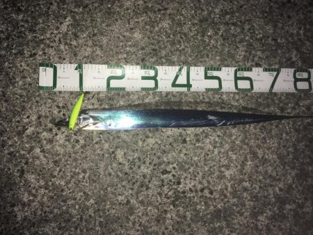 足元に現れた！