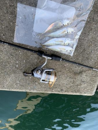 アジングやっと釣れた！
