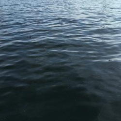 ナブラはあるものの