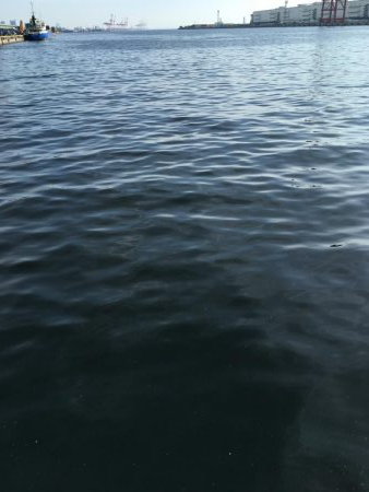 ナブラはあるものの