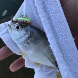 帰ってきたメッキ