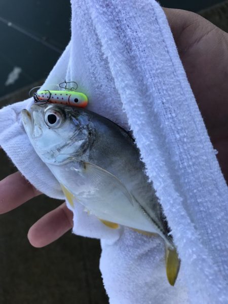 帰ってきたメッキ