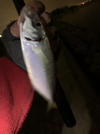 地合いつかめず