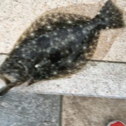 フラットフィッシング