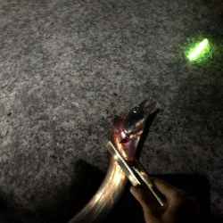 初めての南芦屋浜