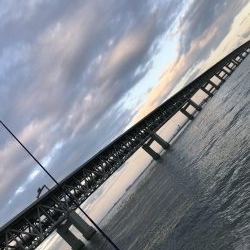 大阪湾タチウオ船テンヤ 釣り