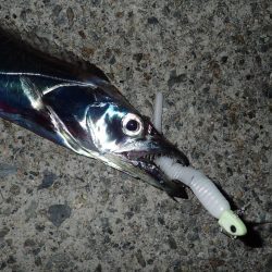 ドラゴンハントが効く！