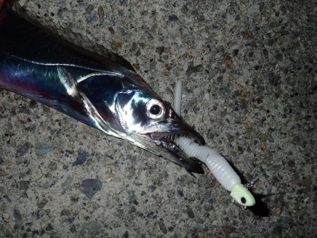 ドラゴンハントが効く！