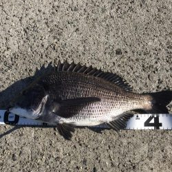 イチノ兄弟、釣果!