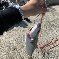 のんびりと遅めスタート