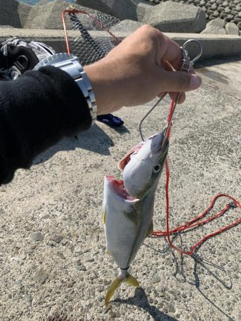 のんびりと遅めスタート