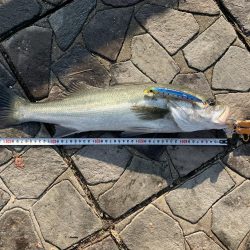 今年ラスト釣行。