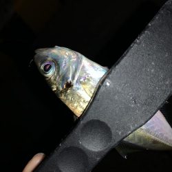 アーバンサイドアジング