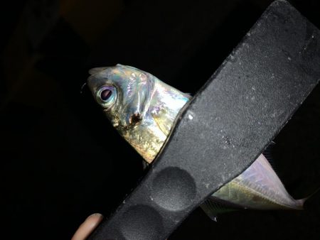 アーバンサイドアジング