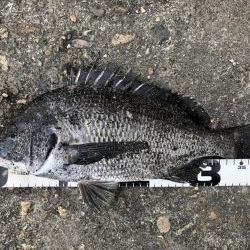 イチノ兄弟、釣果！