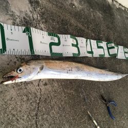 ドラゴンまであと少し！