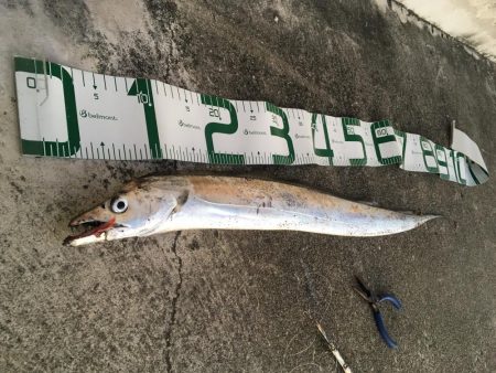 ドラゴンまであと少し！