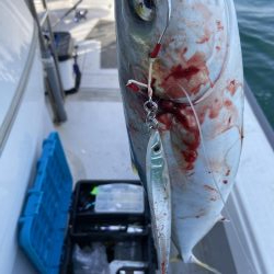 オフショアジギング　タチパターン