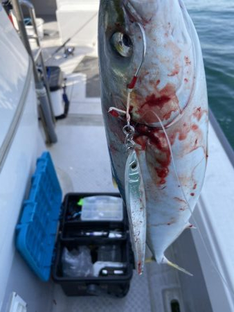 オフショアジギング　タチパターン