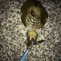 粘って何とか一杯