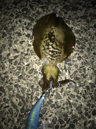 粘って何とか一杯