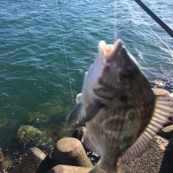 ふかせ釣り練習中！