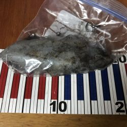 雨の中なんとか一杯