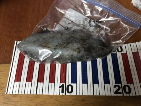 雨の中なんとか一杯