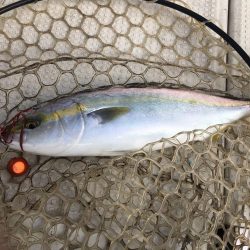 タイラバ&ジギング