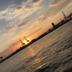 IKEA裏タチウオ釣り