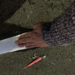 ギリドラゴン？