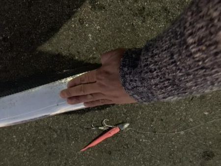 ギリドラゴン？