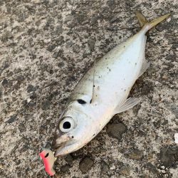 なんでもロッド