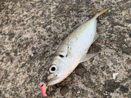 なんでもロッド