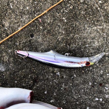 メジロ2匹は疲れる…