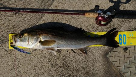 夜勤明けの自転車釣行