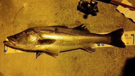 タチウオ狙いのワインドで