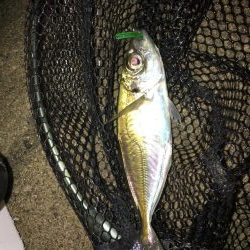 厳しいですね〜