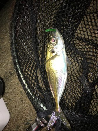 厳しいですね〜