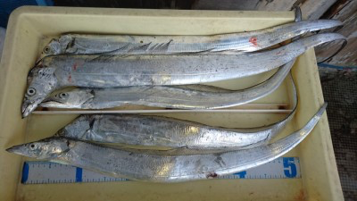 タチウオテンヤとメタルジグ