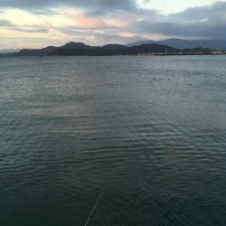 沖洲で今年初の太刀魚