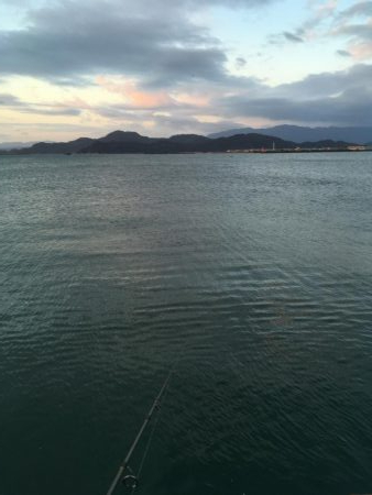 沖洲で今年初の太刀魚