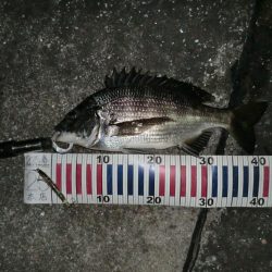 釣り人が増えてきて‥