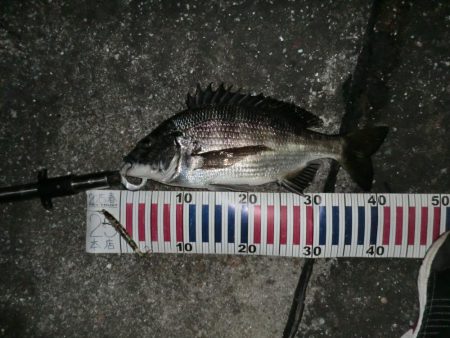 釣り人が増えてきて‥