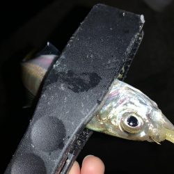 アーバンサイドアジング